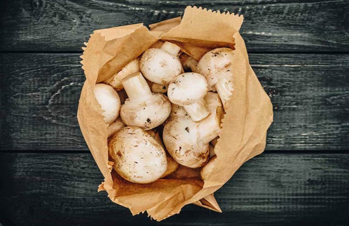 Meadow Mushrooms: How to Store