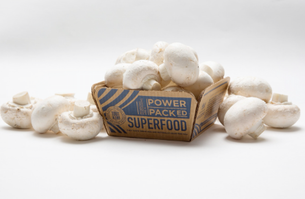 Meadow Mushrooms - Our Story