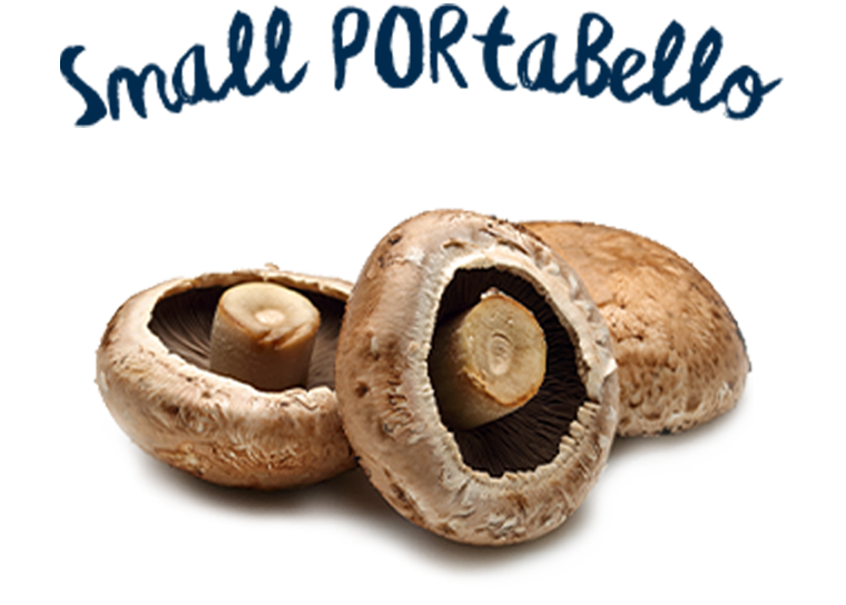 Small Portabello