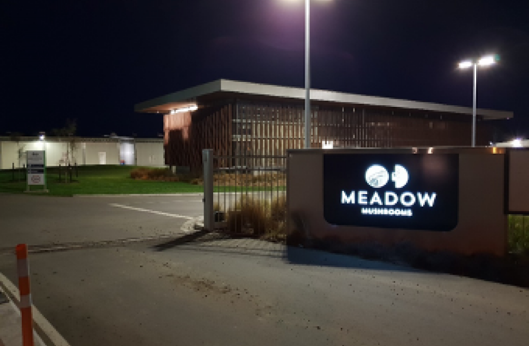 Meadow Mushrooms - Our Story