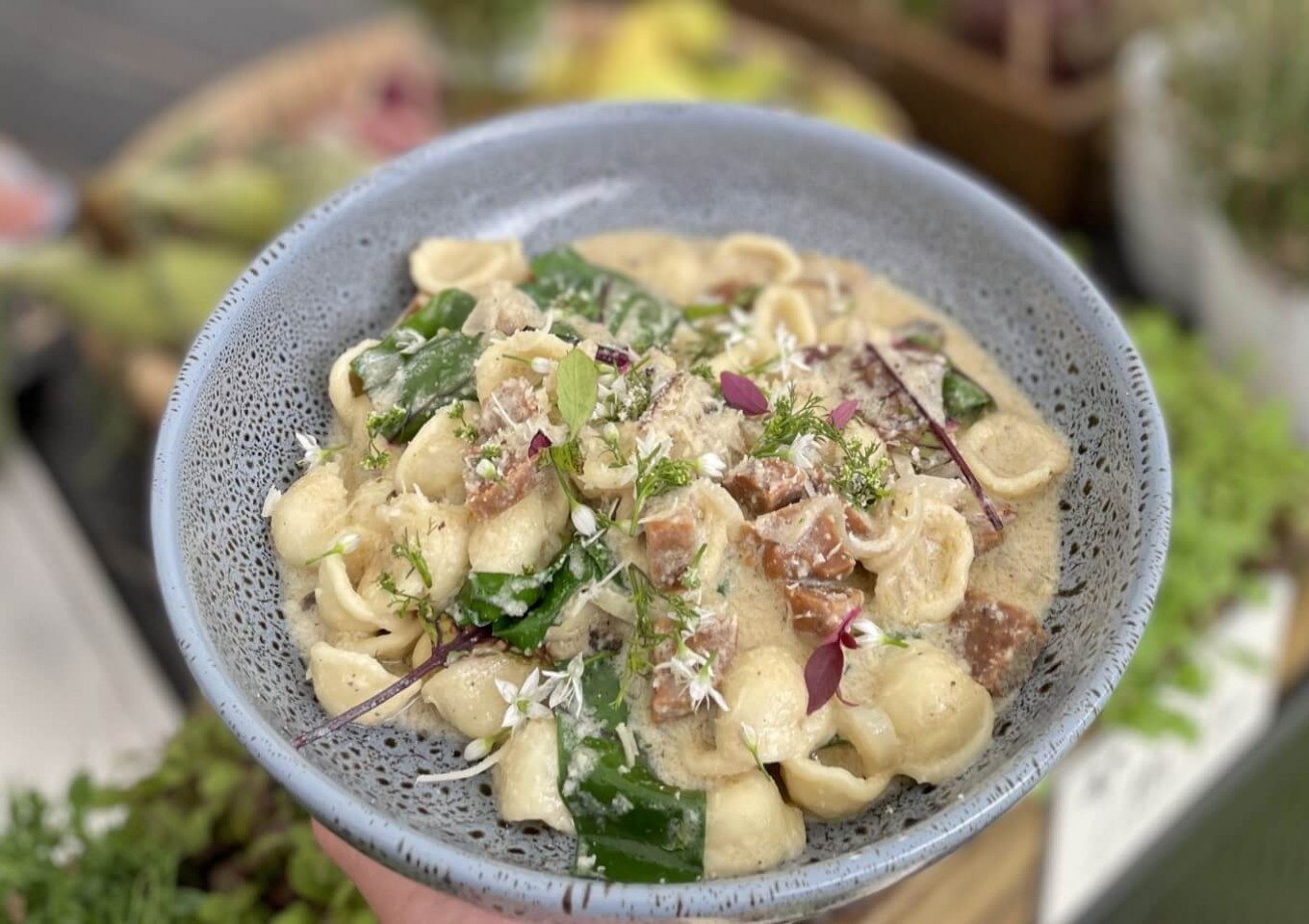 Mushroom & Chorizo Orecchiette in a Cashew Nut Sauce