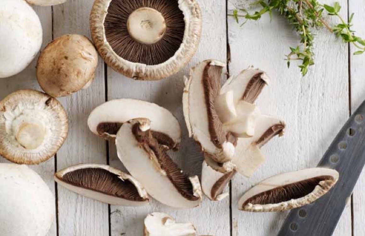 Meadow Mushrooms: How to Eat
