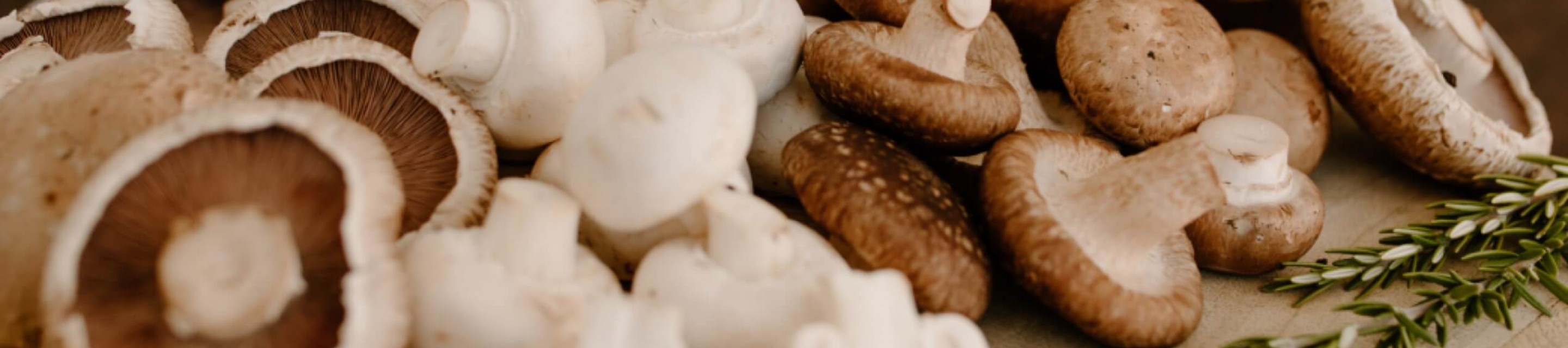Meadow Mushrooms