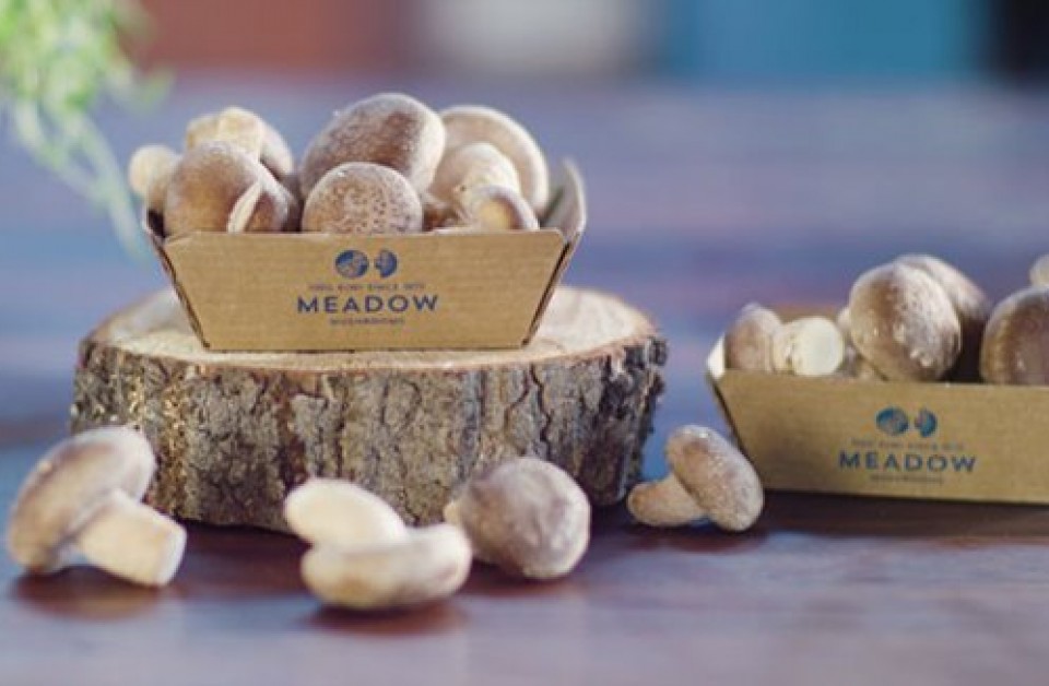 Meadow Mushrooms: Reuse, recycle or compost by 2025