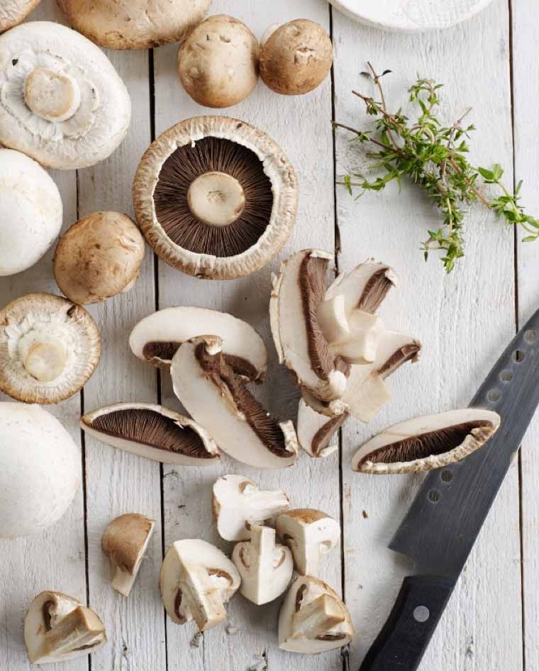 Mushrooms 101
