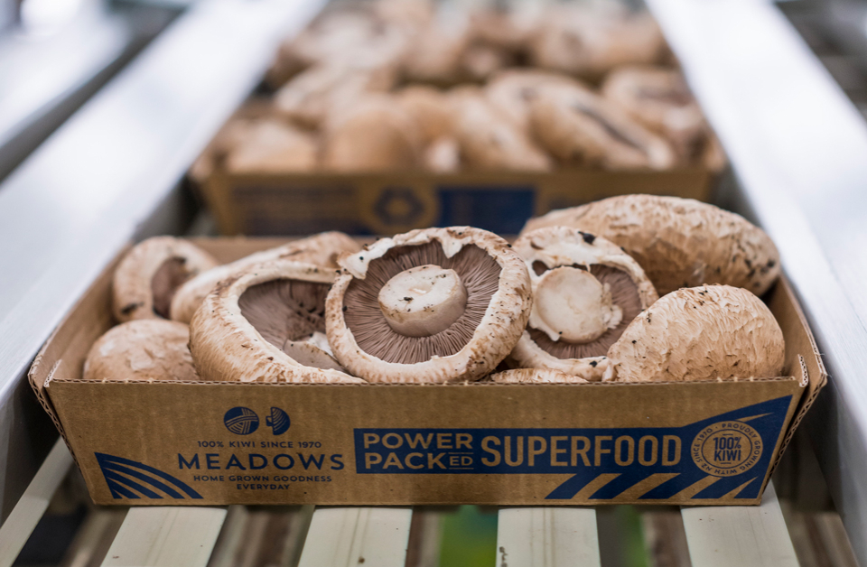 Meadow Mushrooms: Quality Assurance